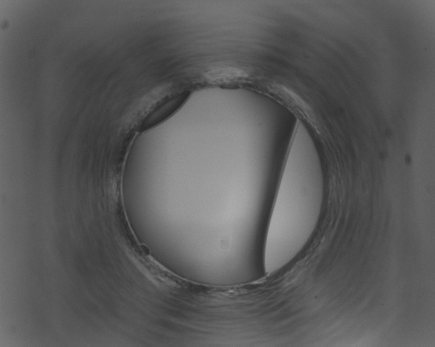 X0000074260405200608250905