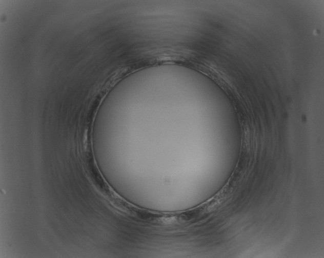 X0000074260406200608250905