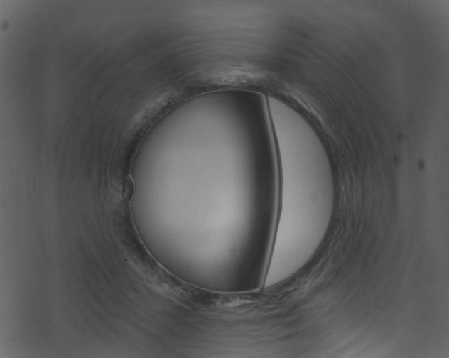 X0000074260407200608250905