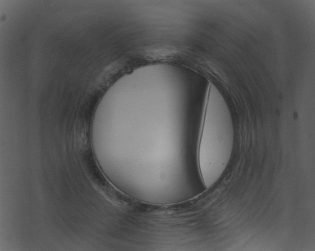 X0000074260408200608250905