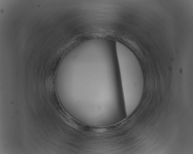 X0000074260409200608250905