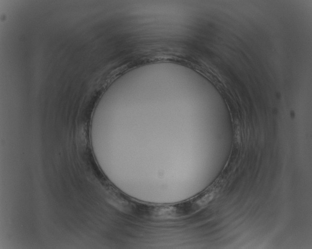 X0000074260410200608250905