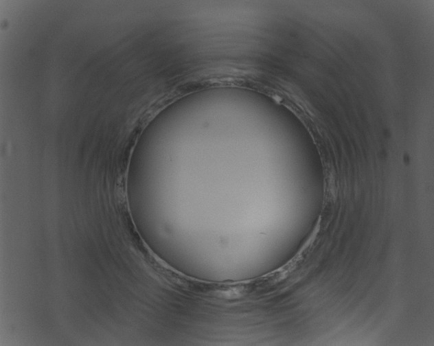 X0000074260411200608250905