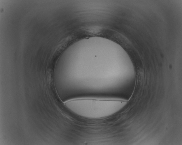 X0000074260412200608250905