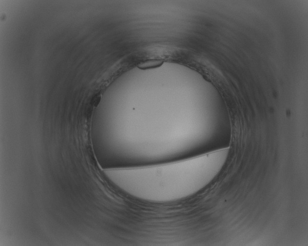 X0000074260413200608250905