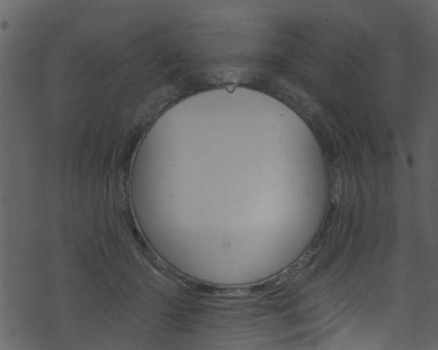 X0000074260414200608250905