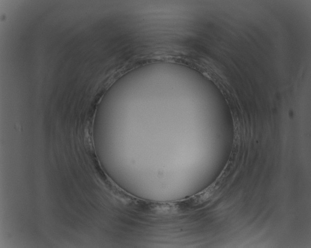 X0000074260415200608250905