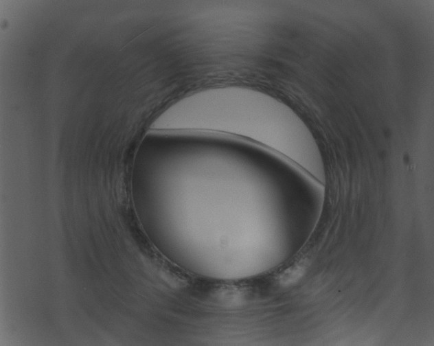 X0000074260416200608250905