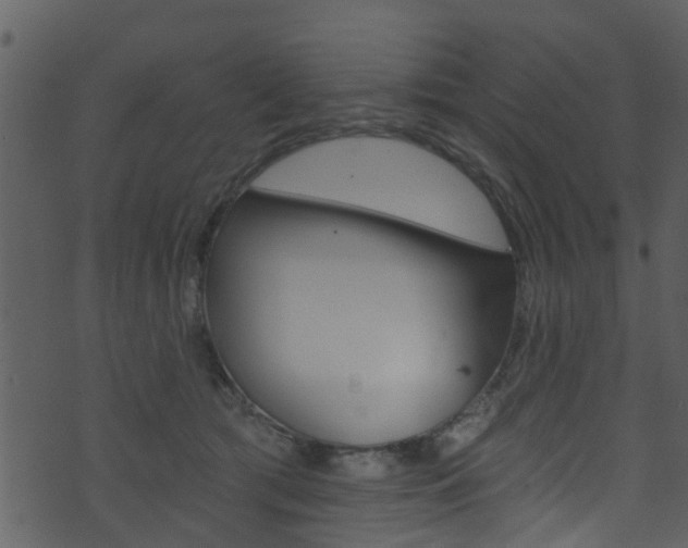 X0000074260417200608250905