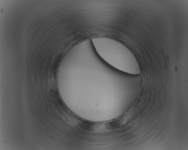 X0000074260418200608250905