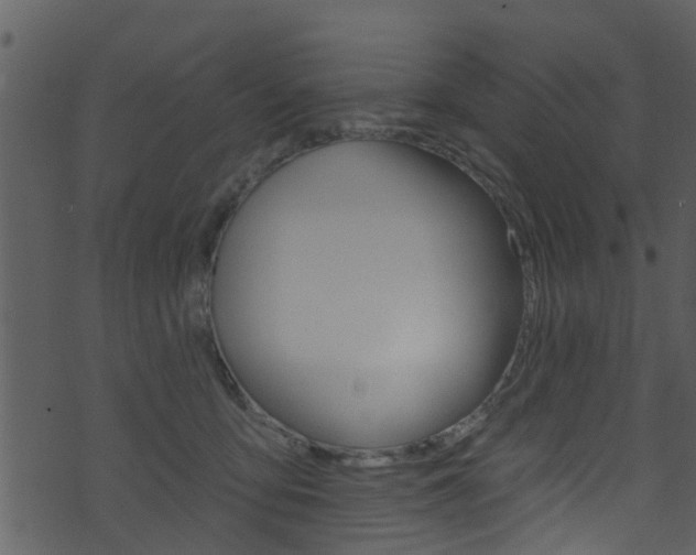 X0000074260419200608250905