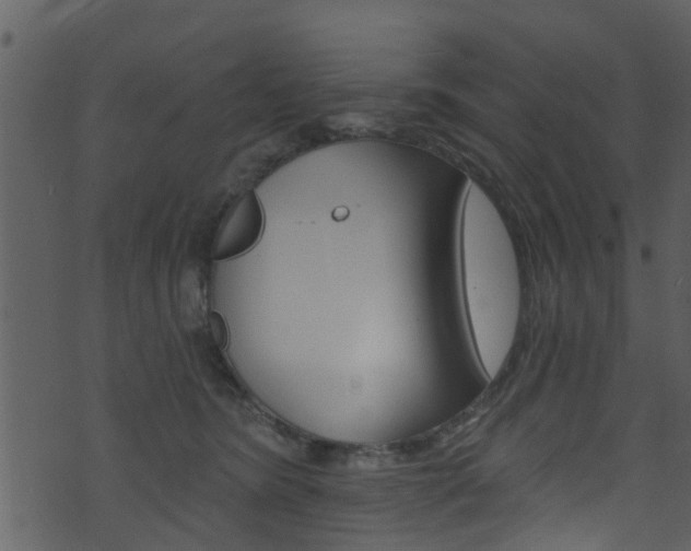 X0000074260420200608250905