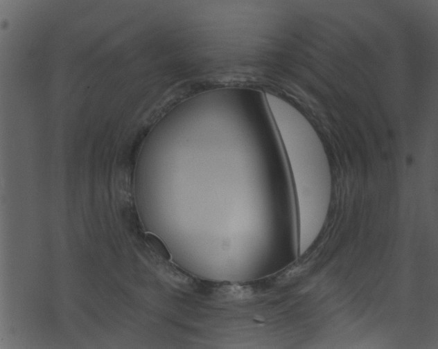 X0000074260421200608250905