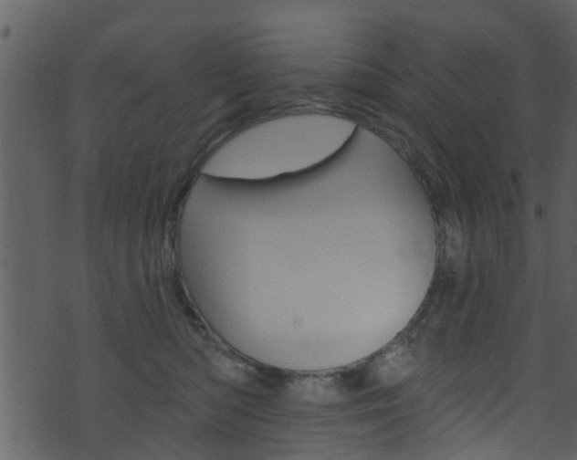 X0000074260422200608250905