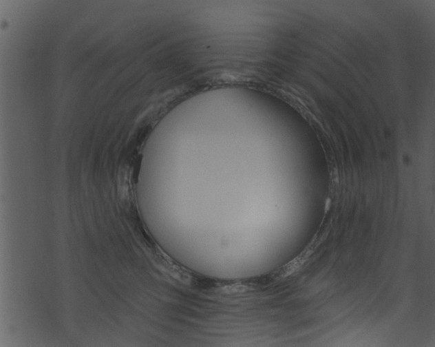 X0000074260423200608250905