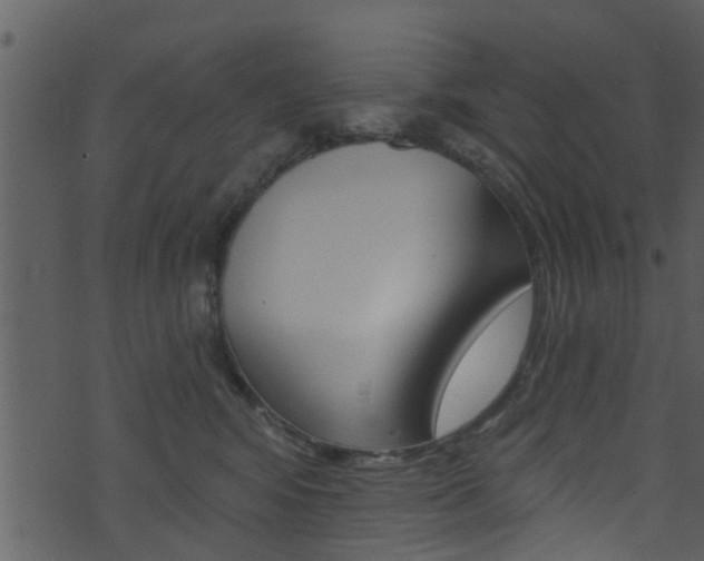 X0000074260424200608250905