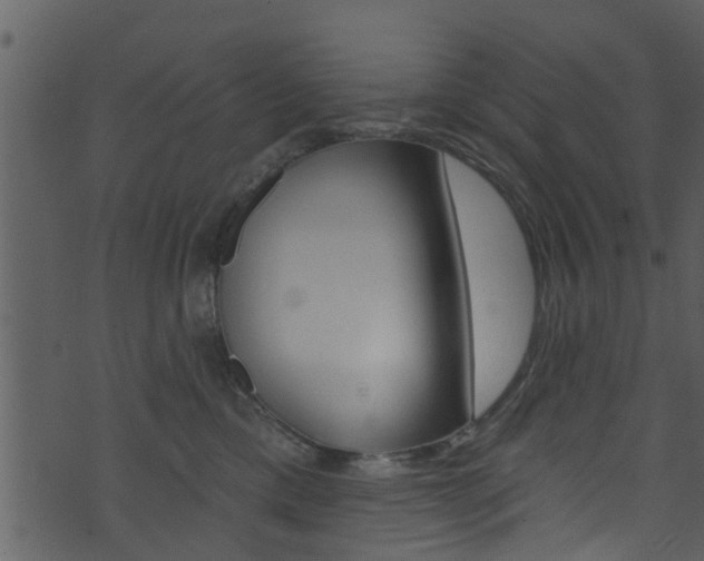 X0000074260425200608250905