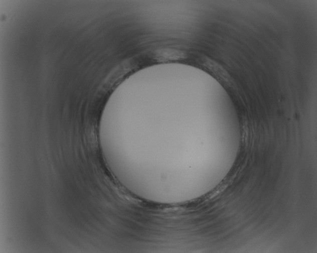 X0000074260426200608250905