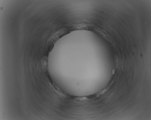 X0000074260427200608250905