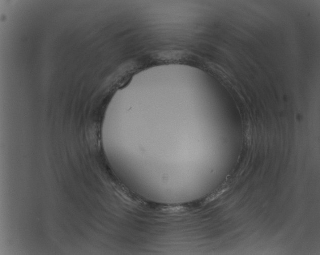 X0000074260428200608250905