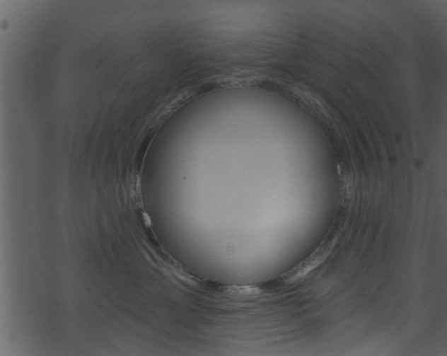 X0000074260429200608250905