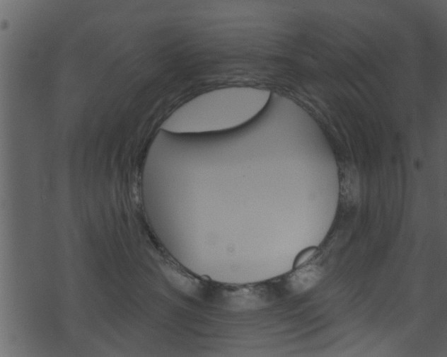 X0000074260430200608250905