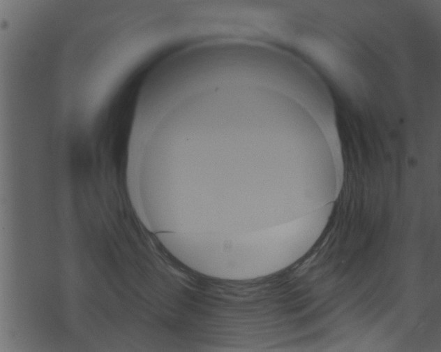 X0000074260431200608250905