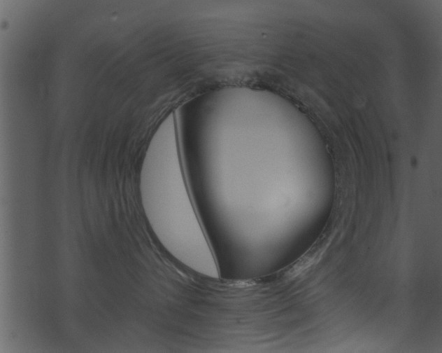 X0000074260432200608250905