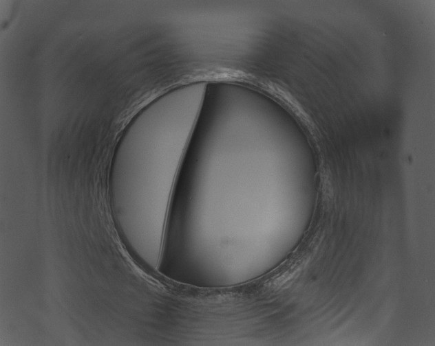 X0000074260433200608250904