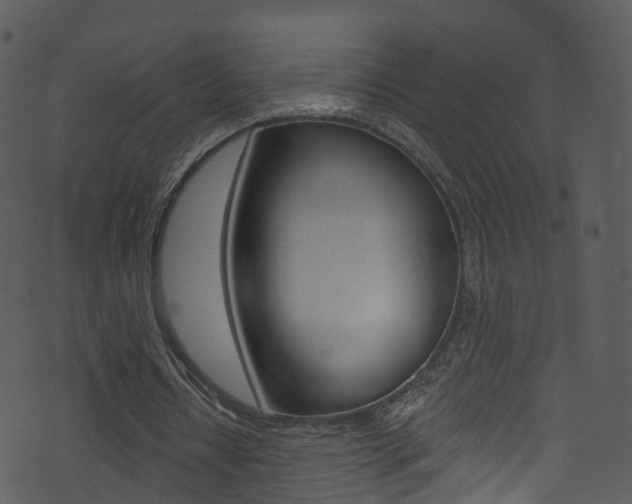 X0000074260434200608250904