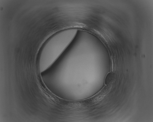 X0000074260435200608250904