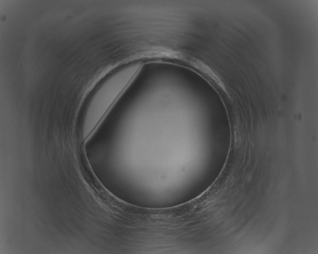 X0000074260436200608250904