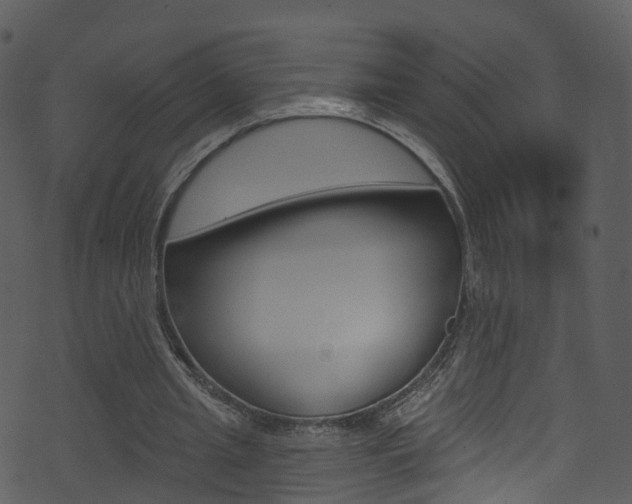 X0000074260437200608250904