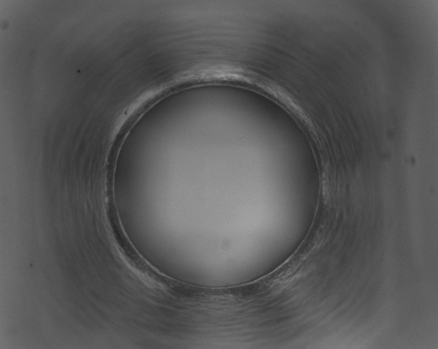 X0000074260438200608250904