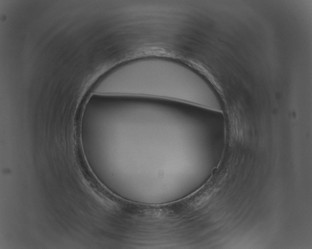 X0000074260439200608250904