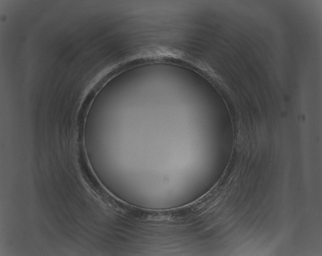 X0000074260440200608250904