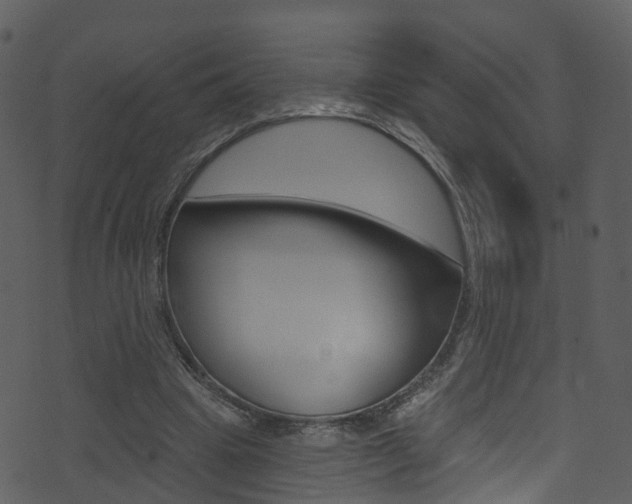 X0000074260441200608250904