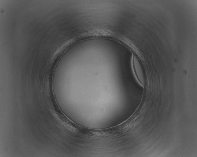 X0000074260442200608250904