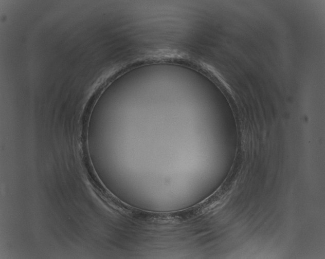 X0000074260443200608250904