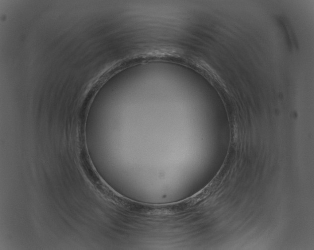 X0000074260444200608250904