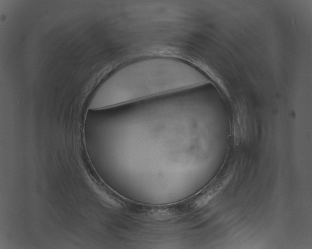 X0000074260445200608250904