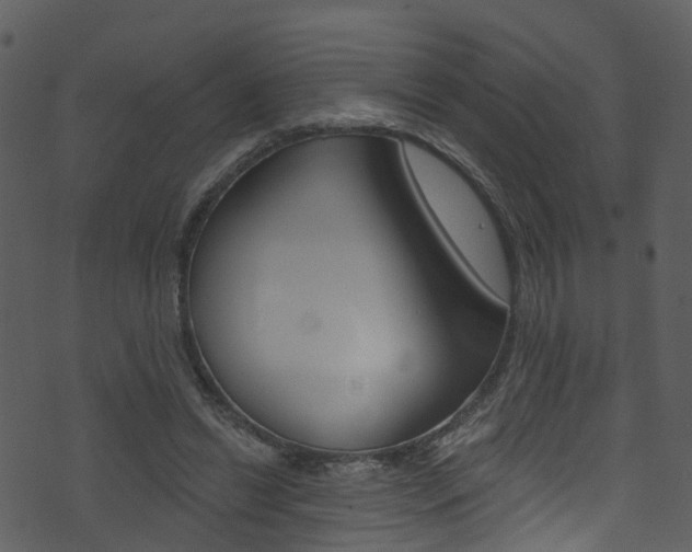 X0000074260446200608250904