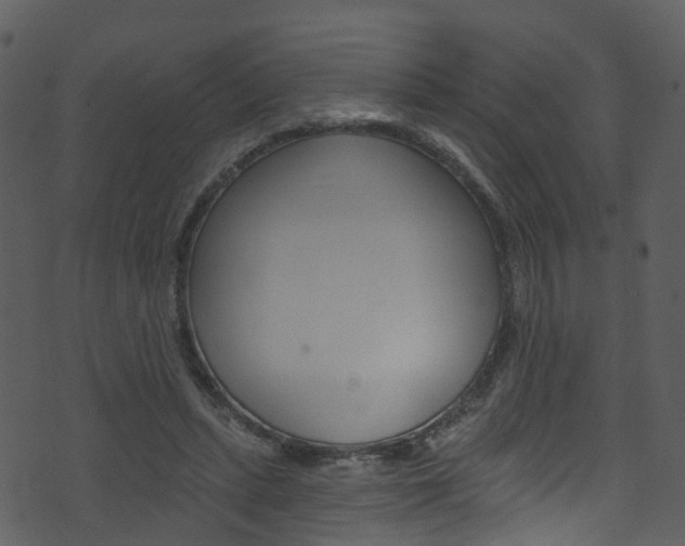 X0000074260447200608250904