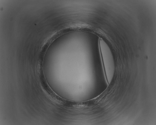 X0000074260448200608250904