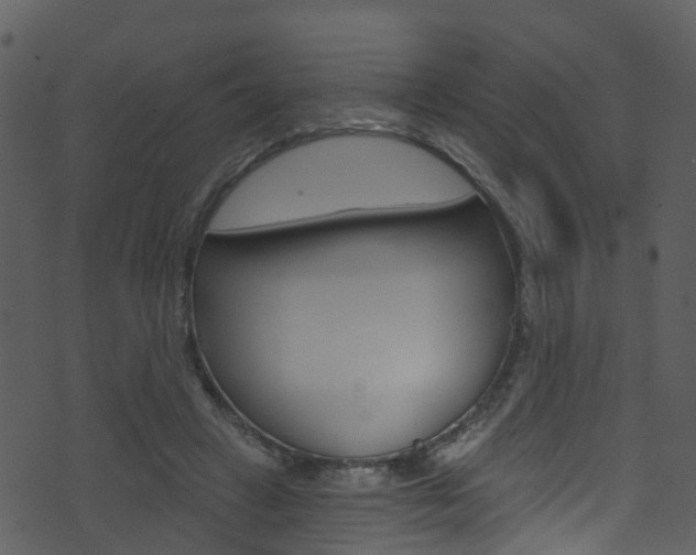 X0000074260449200608250904