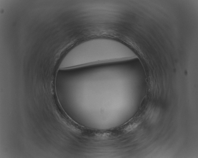 X0000074260450200608250904