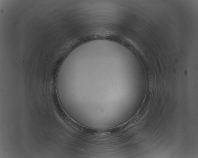 X0000074260451200608250904