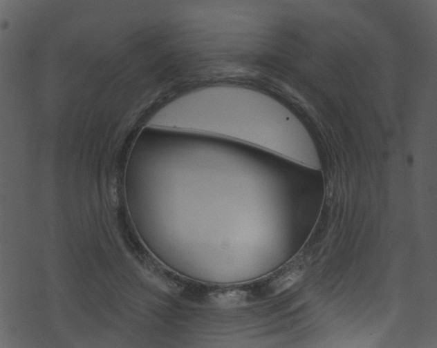 X0000074260452200608250904