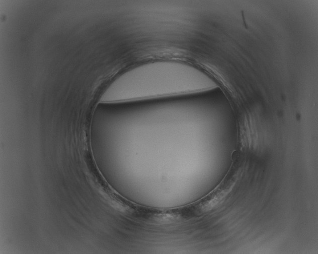 X0000074260453200608250904