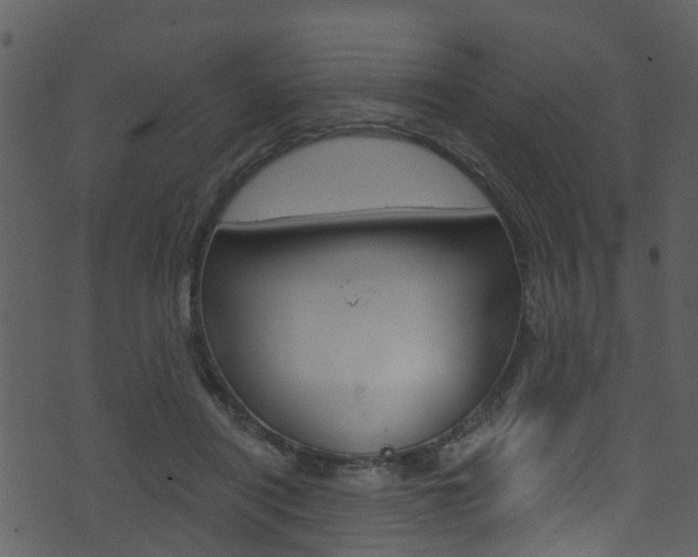 X0000074260454200608250904